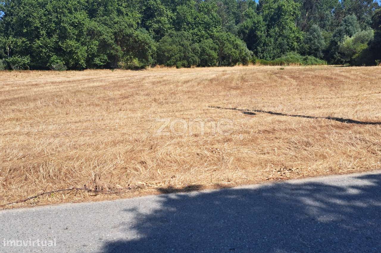 Prédios rústicos com viabilidade de construção - Grande imagem: 5/29