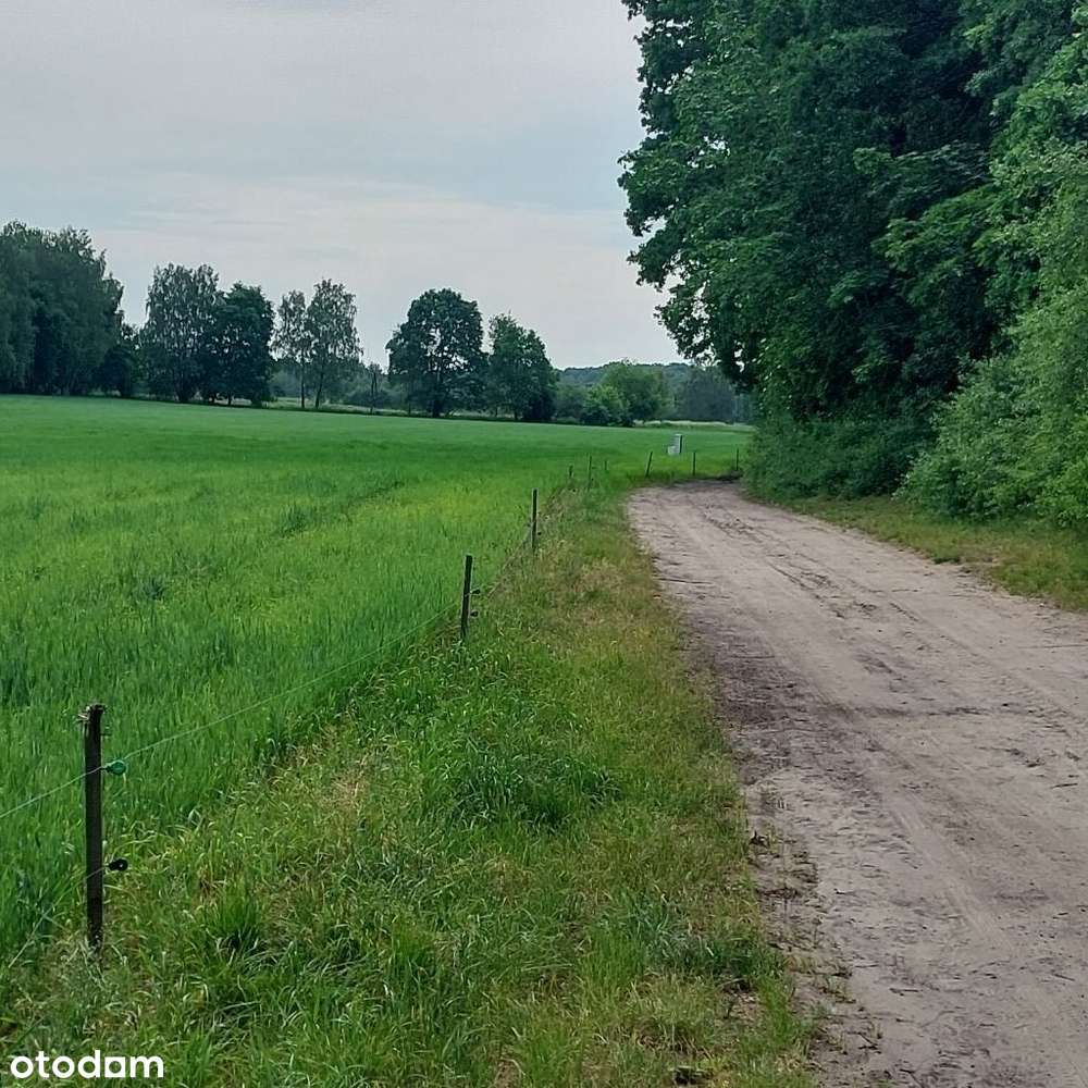 Bezpośrednio piękne działki w Powsinie - Pełny obrazek: 4/11