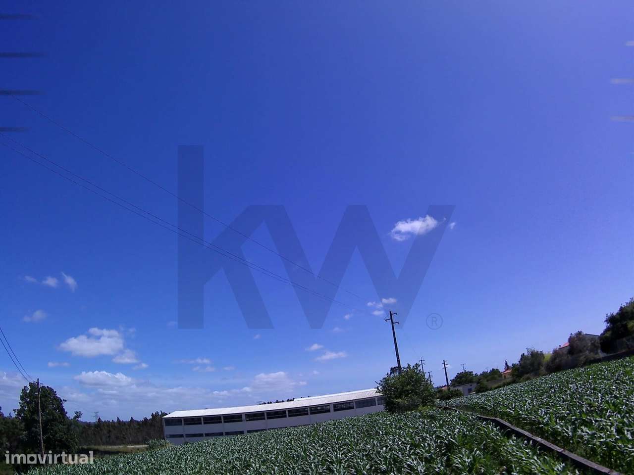 Oportunidade de Investimento: Terreno de 1020 m² para Fins Industriais/ - Vista 5