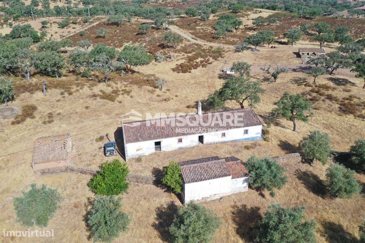 Monte do Chaparral — Ourique-13