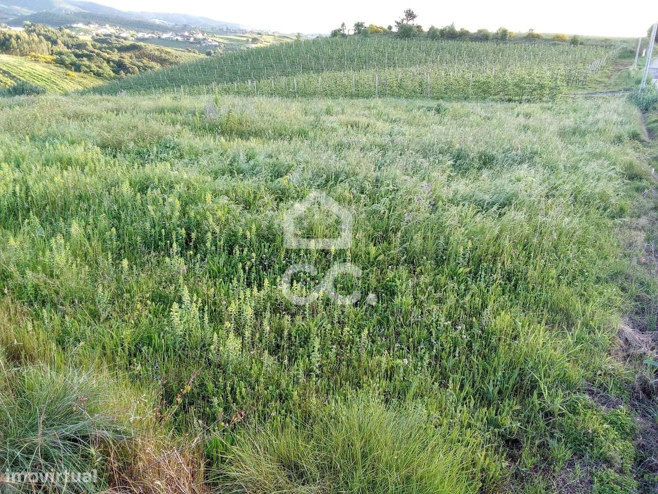 Terreno rústico para venda, em Cadaval. - Grande imagem: 4/8