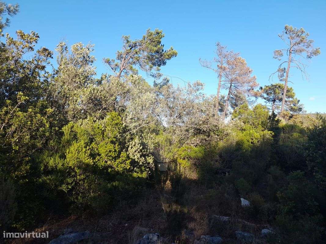 Terreno  para venda - Grande imagem: 5/7