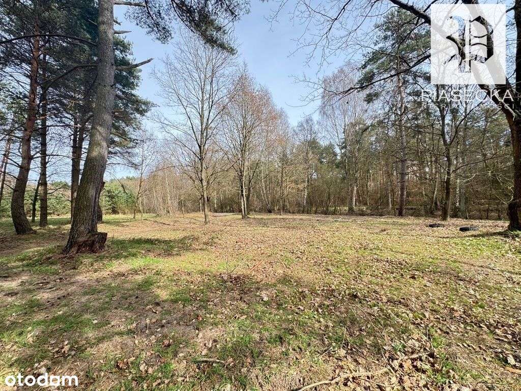 Działka z wydanymi Wz, prąd, woda - nad morzem - Pełny obrazek: 5/20