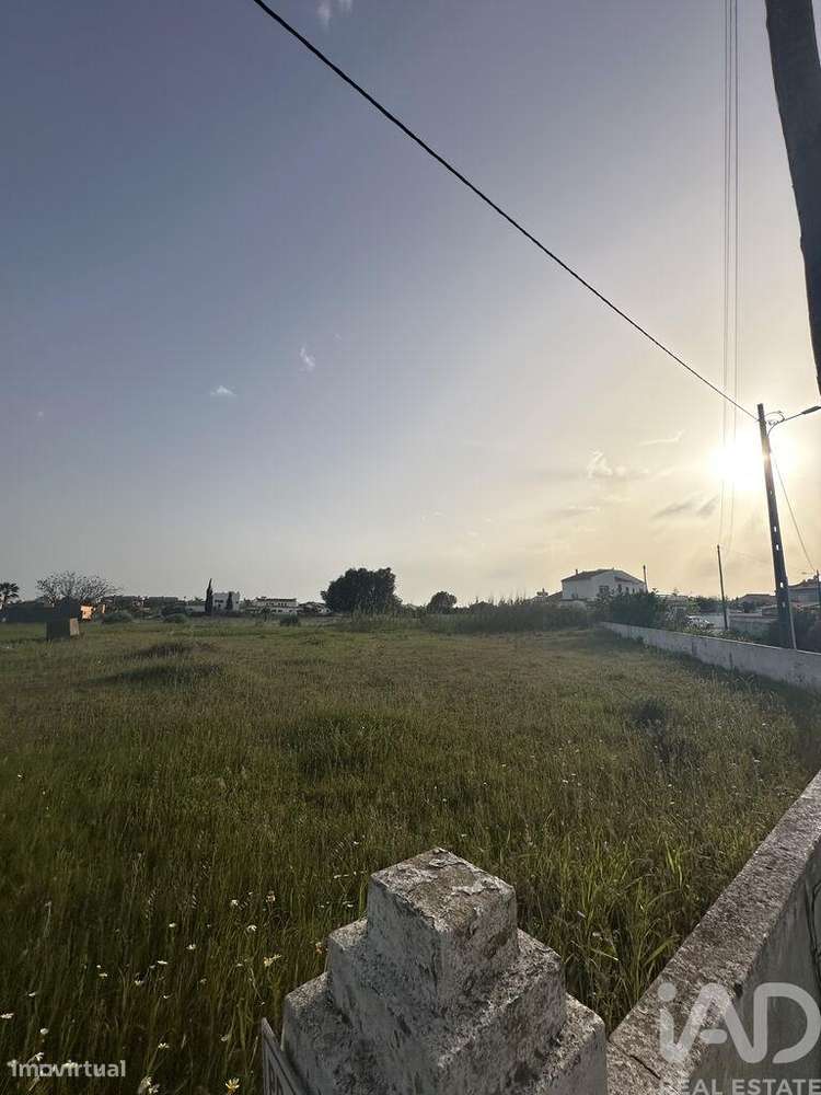 Terreno Agrícola em Guia de 2960,00 m2 - Grande imagem: 4/5