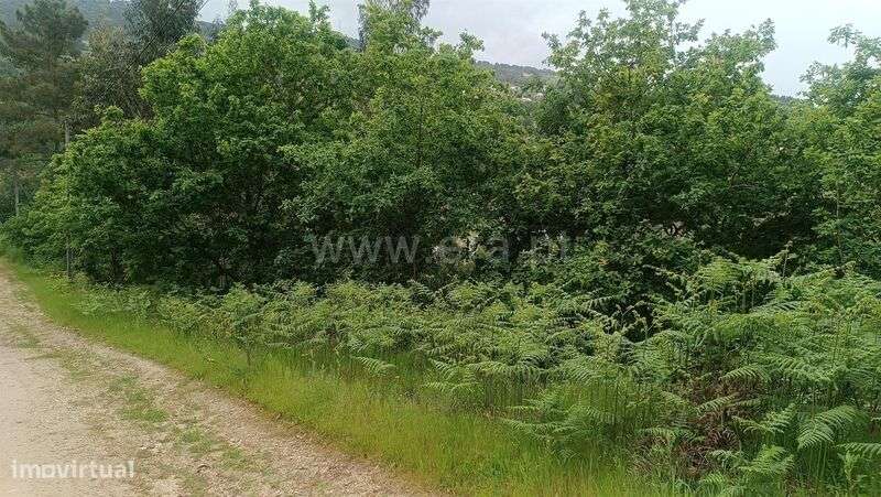 Terreno / Baião, Baião (Santa Leocádia) e Mesquinhata - Grande imagem: 4/20