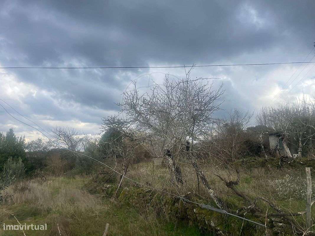 Terreno  para venda - Grande imagem: 5/14