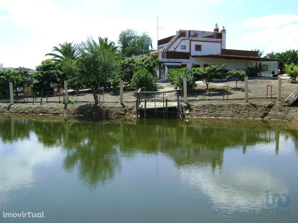 Terreno de Lazer em Beja de 41500,00 m2