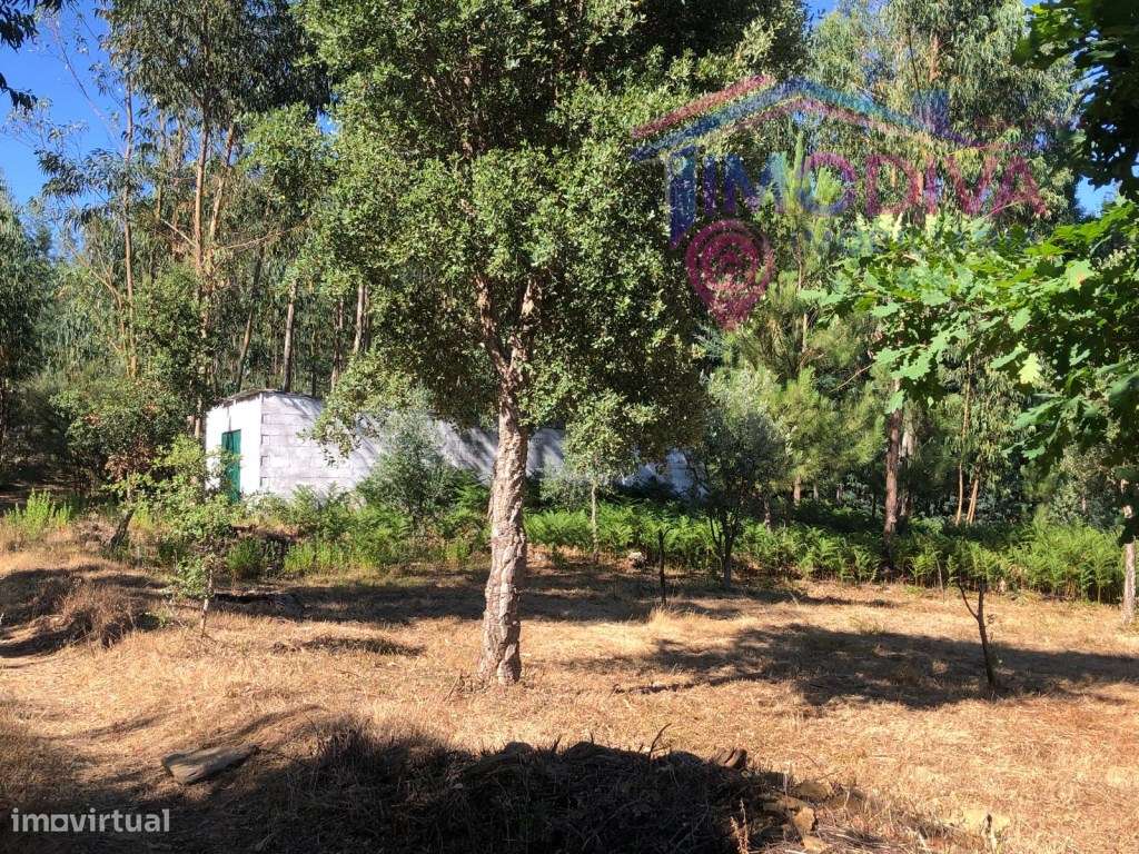Arrecadação e terreno em Castanheira de Pera-10