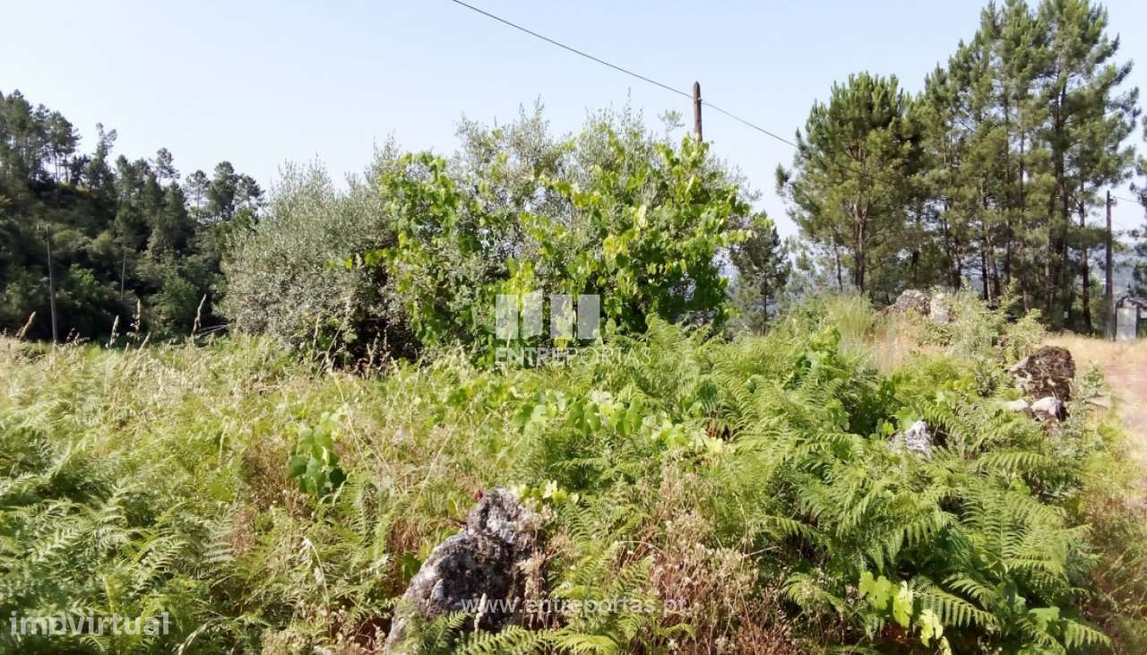 Venda Terreno, Salvador do Monte, Amarante - Grande imagem: 5/17