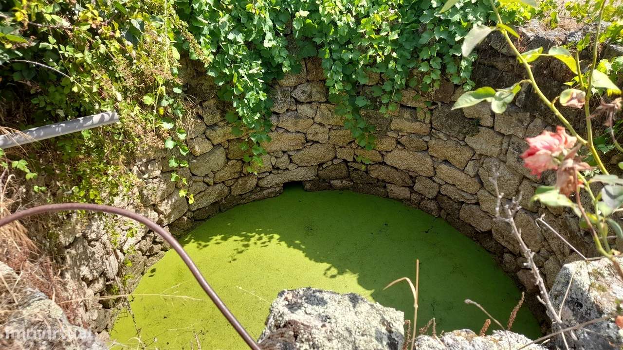 Terreno Rústico  Venda em Escalos de Cima e Lousa,Castelo Branco-9