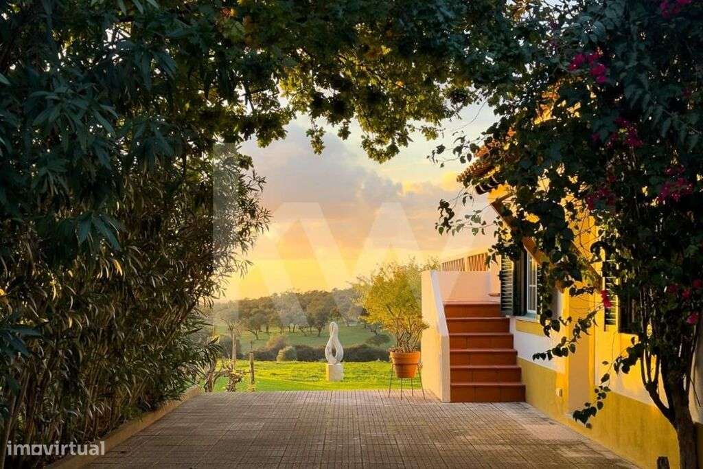 Quinta Alentejana | Oportunidade de Sonho | Exploração Turística ou Ca - Grande imagem: 1/59
