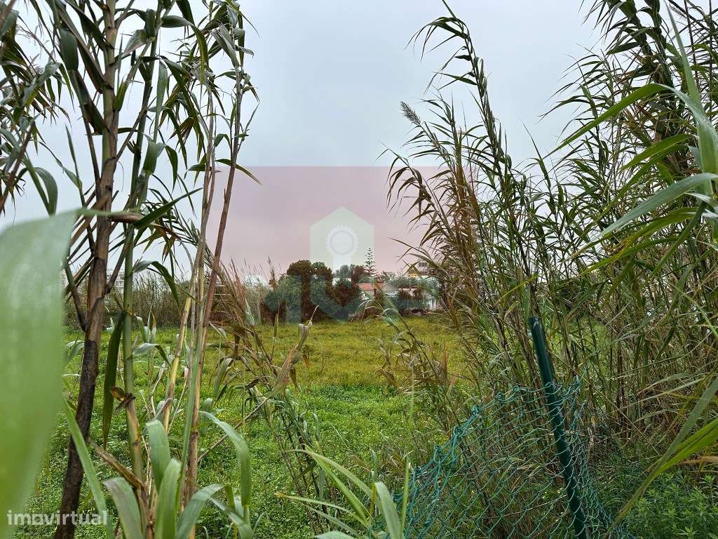 Terreno localizado em espaço urbanizável, Quelfes-7