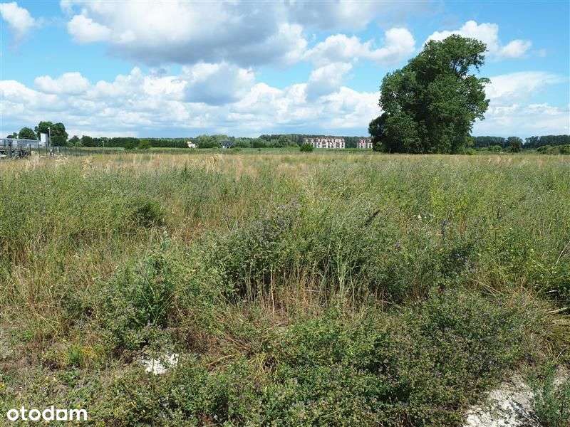 Działka przemysłowa nieopodal węzła Rusocin-0