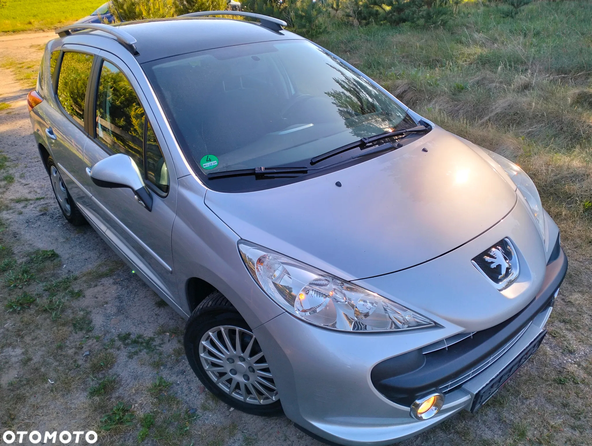 Peugeot 207 - 5