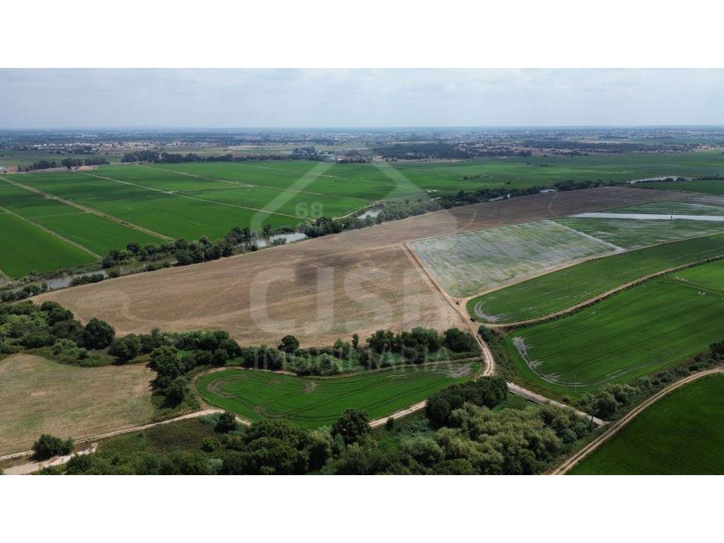 Terreno de 9,5 ha em Benavente-5