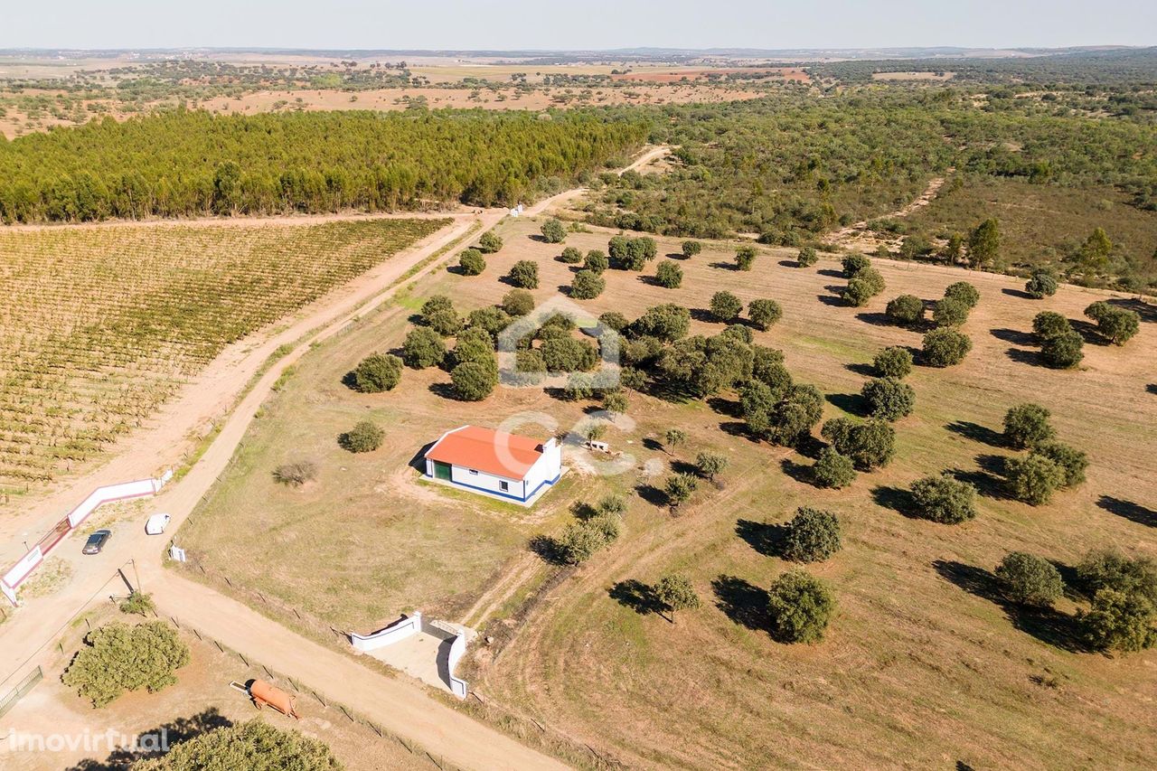 Quinta de 9ha com construção de 150 m2 | Nossa Senhora de Machede (Évo