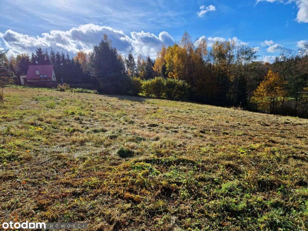 Działka, 2 491 m², Maszków - Pełny obrazek: 4/7