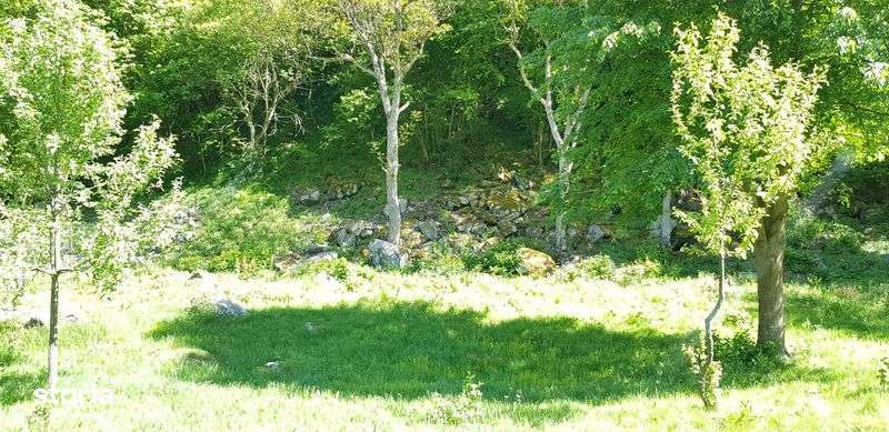 Teren Râul Mare - Retezat - Imagine principală: 4/6