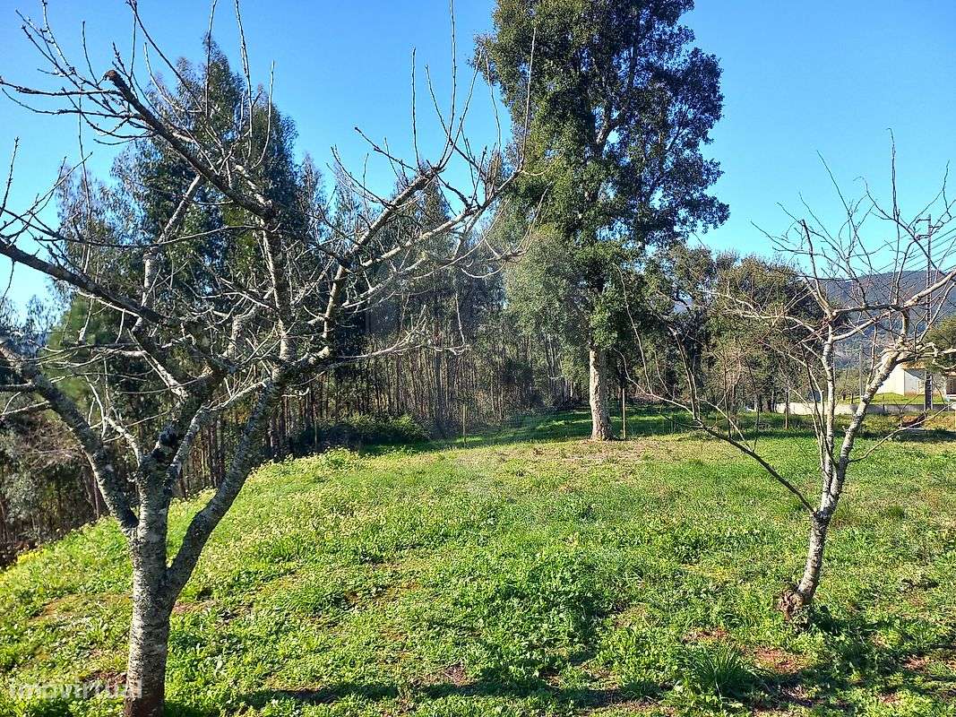 Terreno  para venda - Grande imagem: 5/8