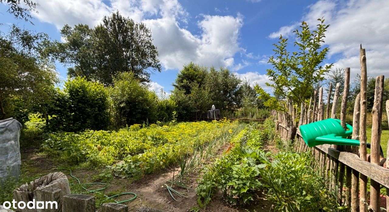 Oferuję agroturystykę 2 domki oraz staw - Pełny obrazek: 4/19