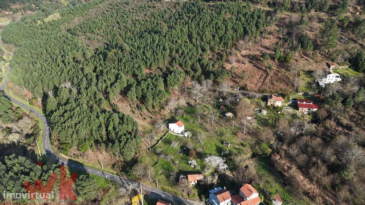 QUINTA cerca 1Ha + casa 54m2 + anexo 104m2, ribeiro - Grande imagem: 5/47