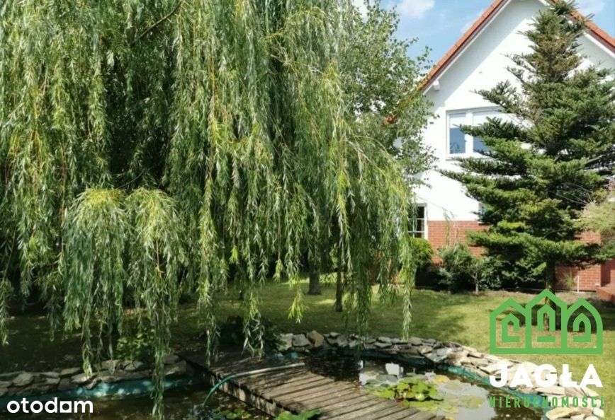 Dom wolnostojący- Kruszynie Krajeńskim Białe Błota - Pełny obrazek: 5/14