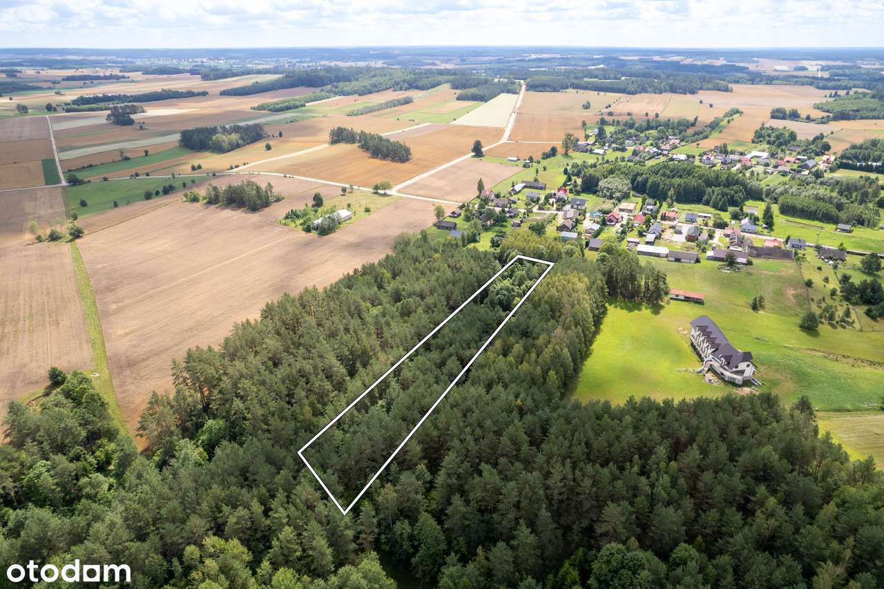 Działka pod Twój wymarzony dom w lesie** Igryły** - Pełny obrazek: 4/9
