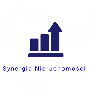 Synergia Nieruchomości Logo