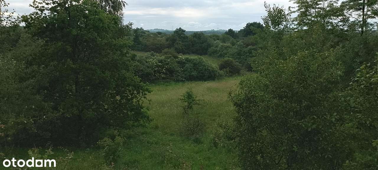 Działka Siedliskowa  Góra siewierska 1 hektar przy Czerwony Kamień - Pełny obrazek: 4/4