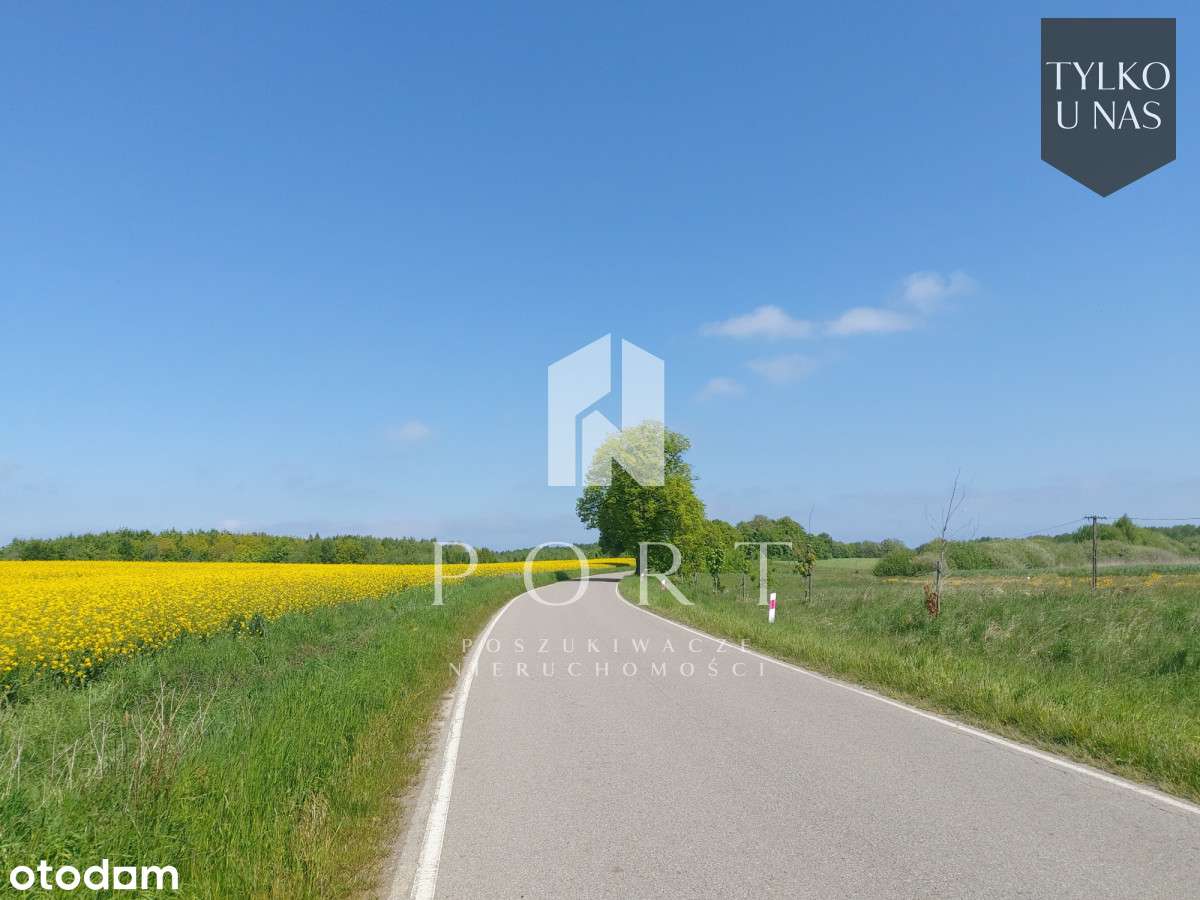 Działka rolna z pozwoleniem na budowę. - Pełny obrazek: 5/14