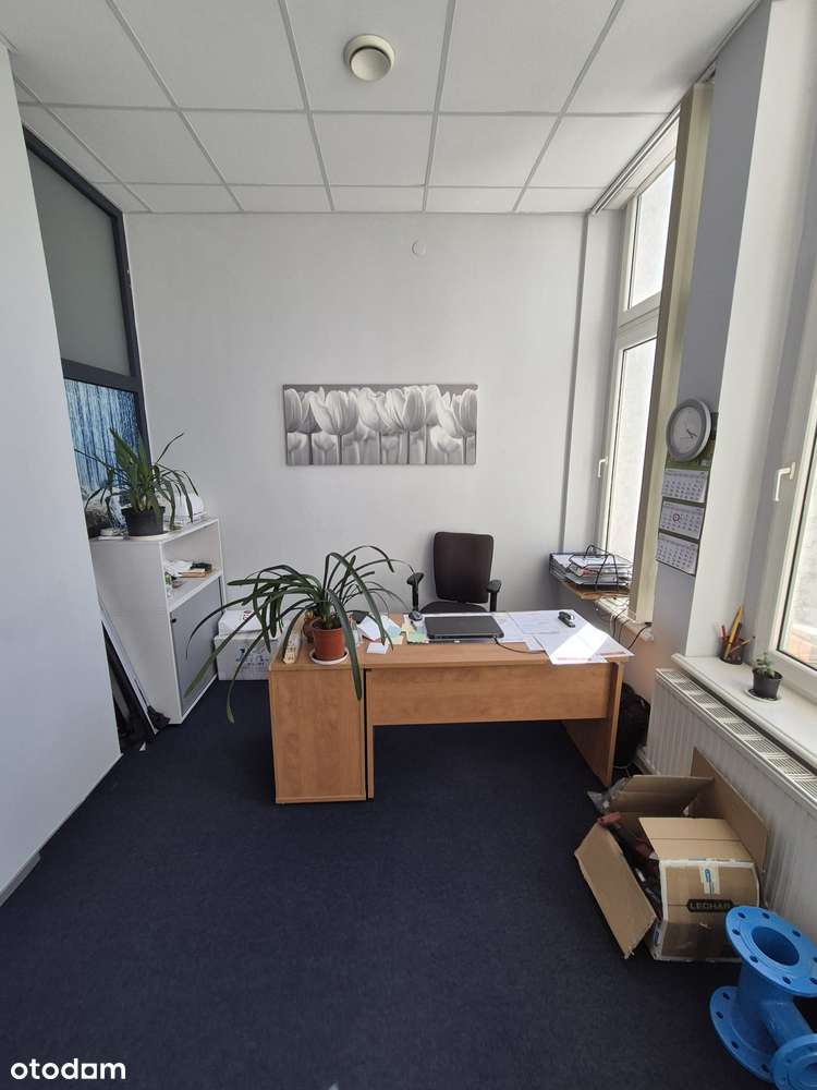 Lokal użytkowy, 65 m², Poznań-9