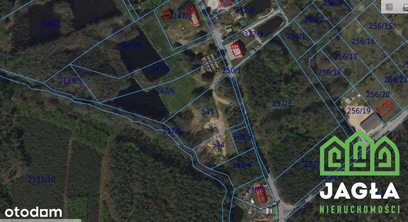 Silno działka 3400m2 warunki na dwa domy woda prąd - Pełny obrazek: 5/7