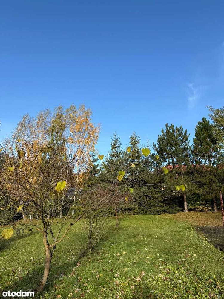 Działka budowlana pod lasem | 44ar | Stary Wiśnicz, pow. bocheński - Pełny obrazek: 5/11