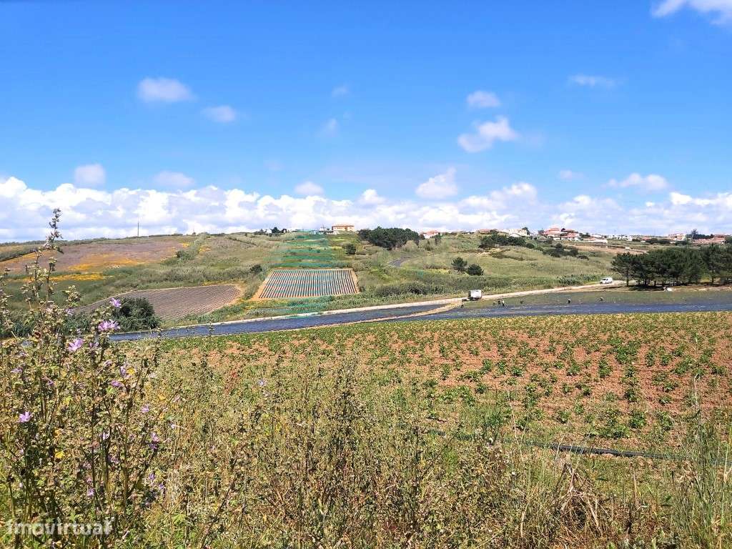 Terreno situado entre Santa Cruz e Santa Rita - Grande imagem: 2/16