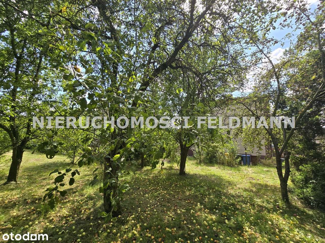 Dom 125 m² z dużą działką w zielonej okolicy –  ok. Rezerwatu Segiet-7