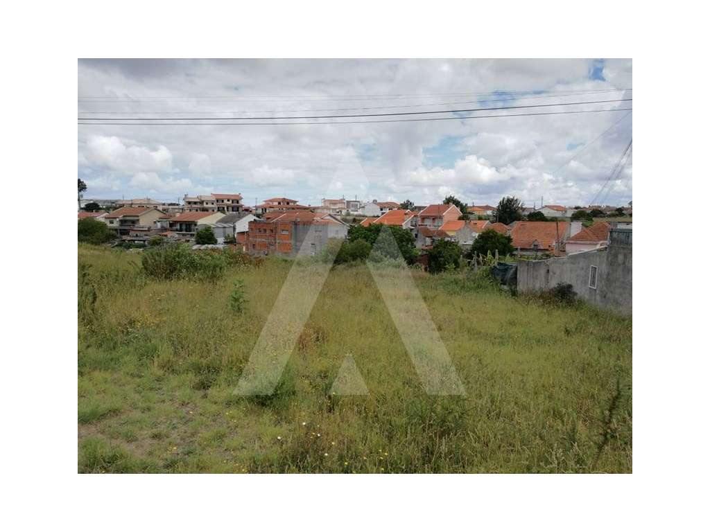 Terreno com 1100 m2 em Ílhavo - Grande imagem: 4/7