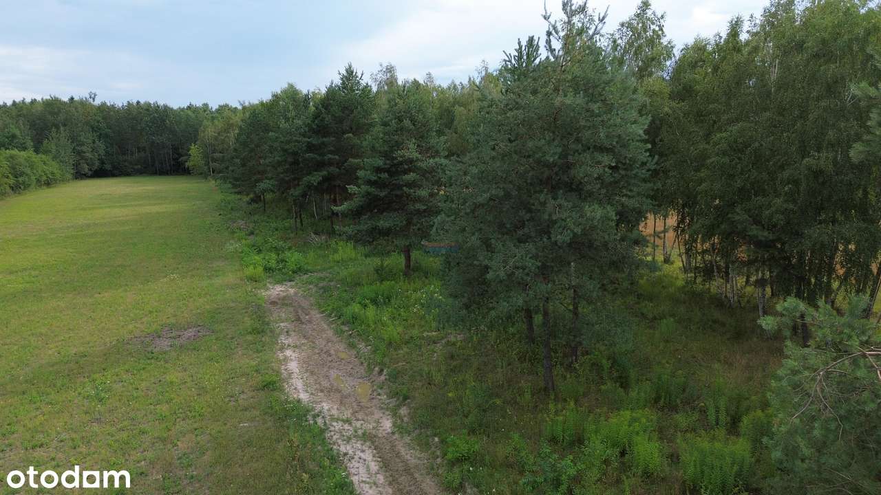 Działka, 950.0 m², Piaseczno - Pełny obrazek: 2/4