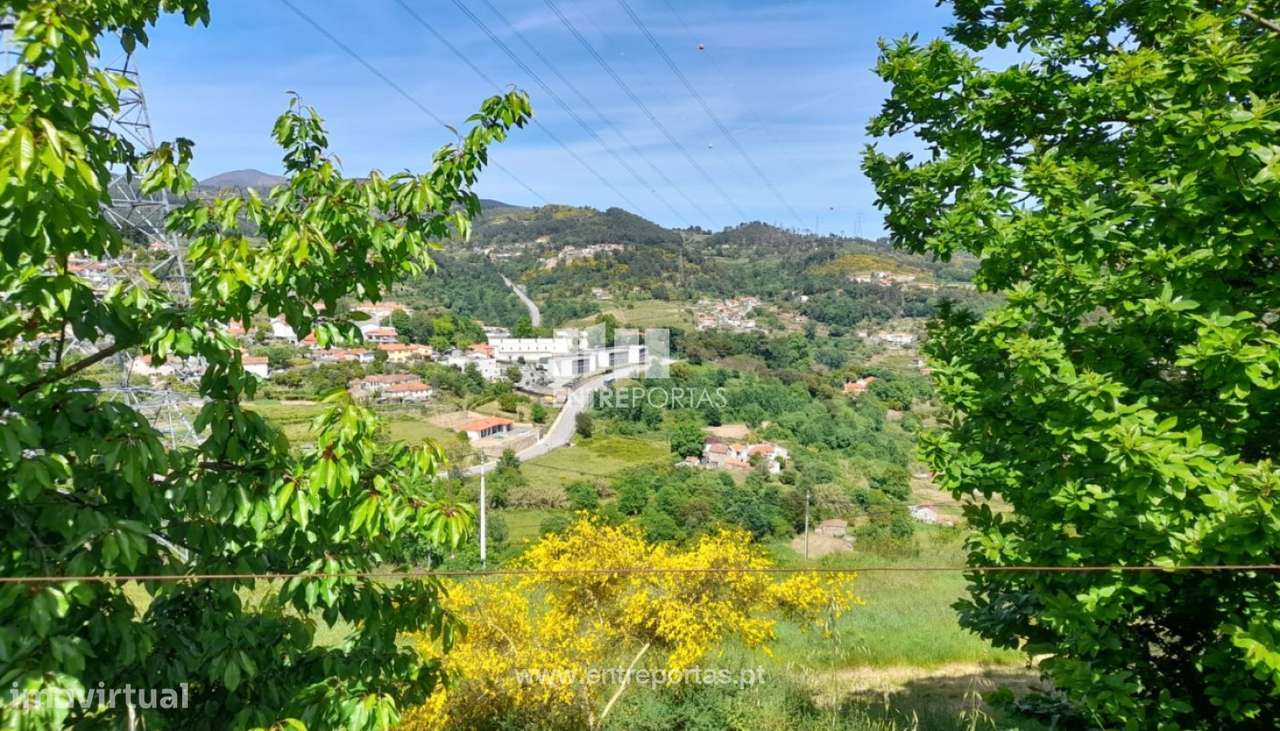 Venda Terreno Sta Marinha do Zezêre, Baião - Grande imagem: 5/34