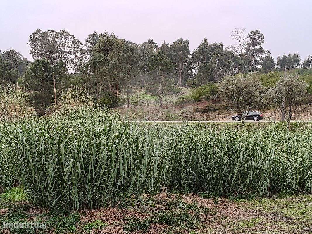 Terreno  para venda - Grande imagem: 5/9