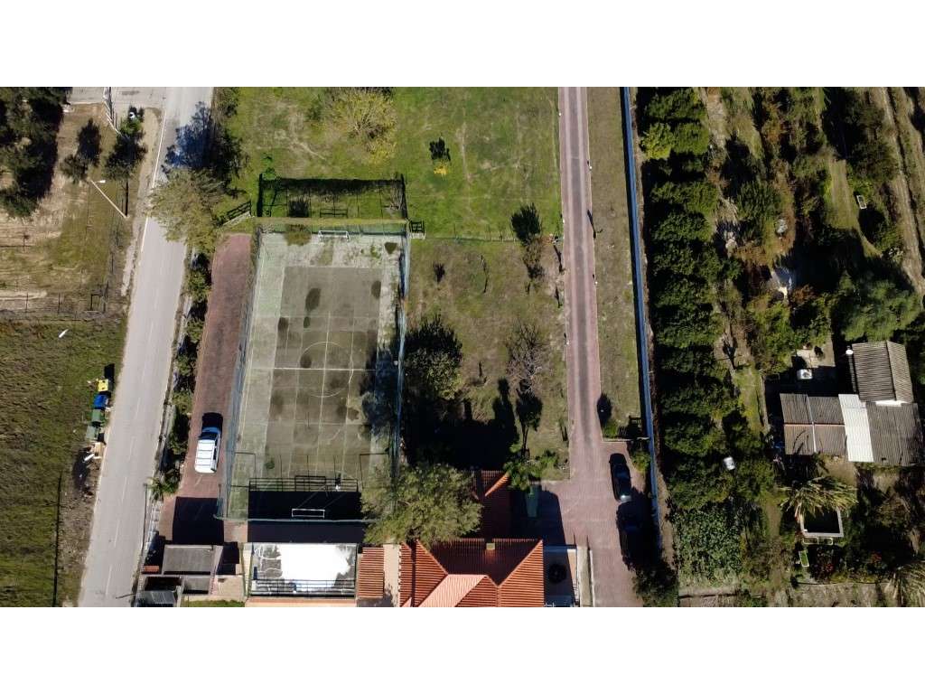 Quinta com 5.000 m², piscina aquecida e campo desportivo | 40 min d... - Grande imagem: 5/39