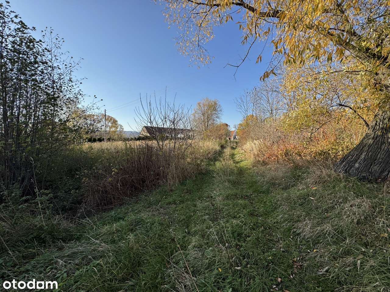 Działka budowlana przy głównej drodze Pieszyce | Prywatność-10