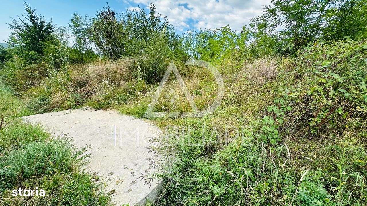 Vănzare teren de casă în Comuna Scoarța , strada Salcia - Imagine principală: 5/9