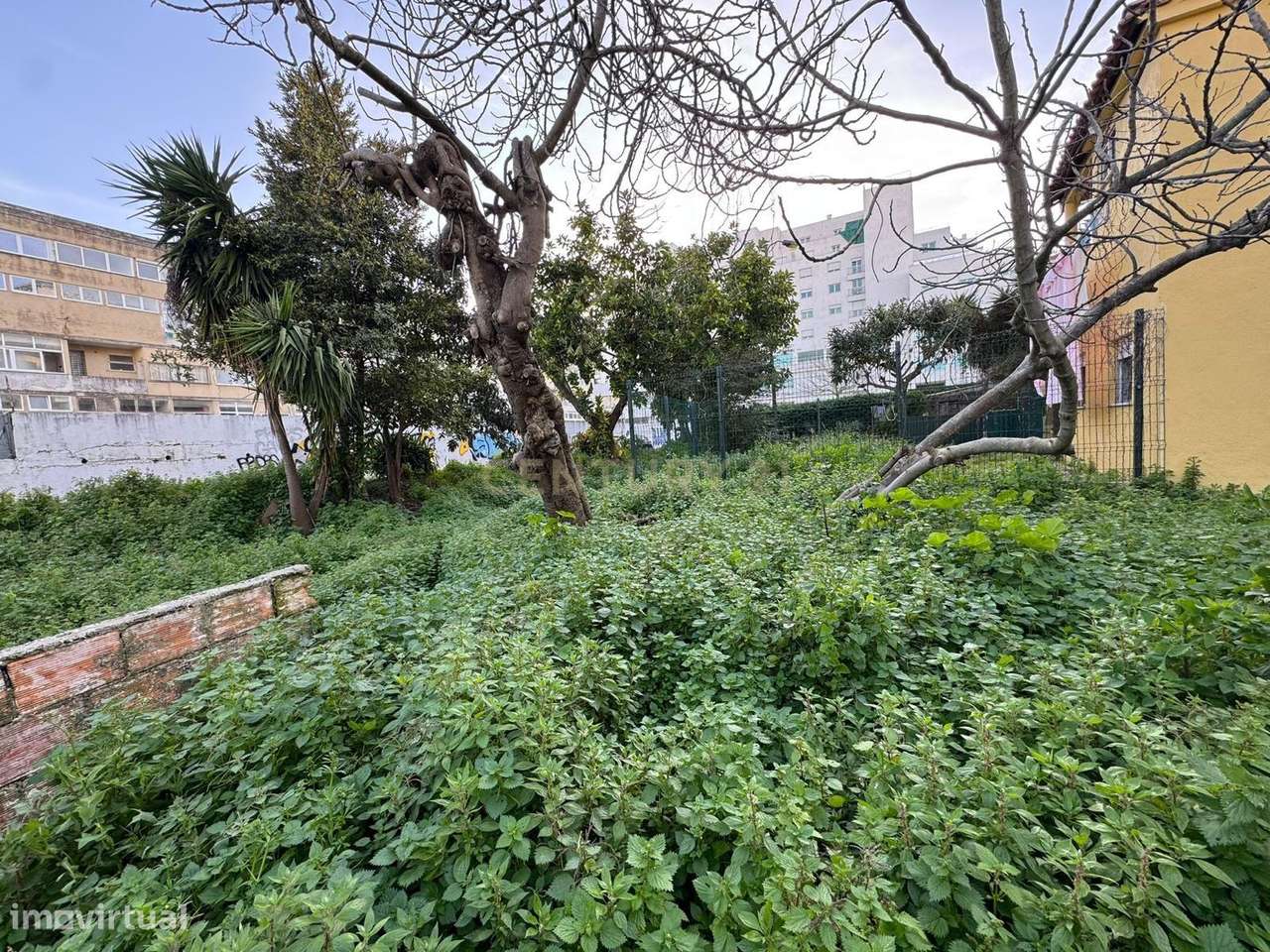 Moradia para Reabilitação junto à Avenida de Roma – Oportunidade para - Grande imagem: 4/12