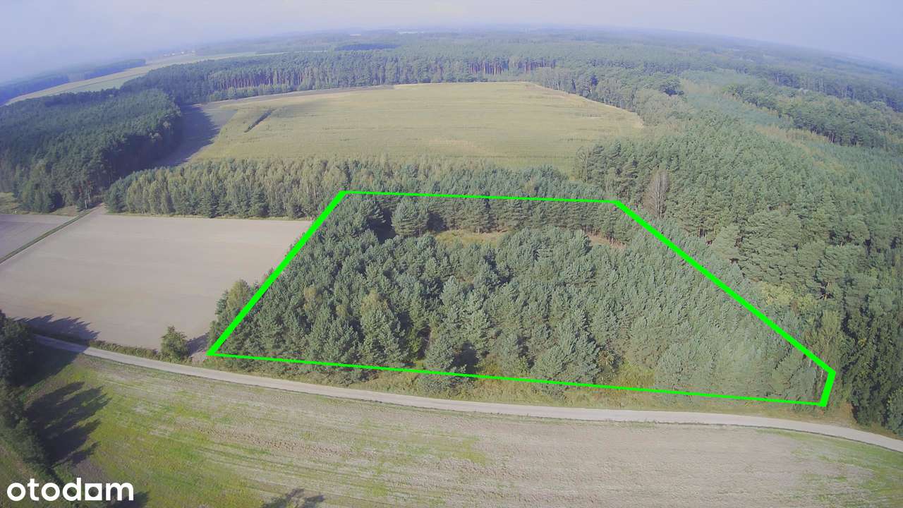 Działka z prywatnym lasem | Wydane Warunki Zabudowy - Pełny obrazek: 4/6