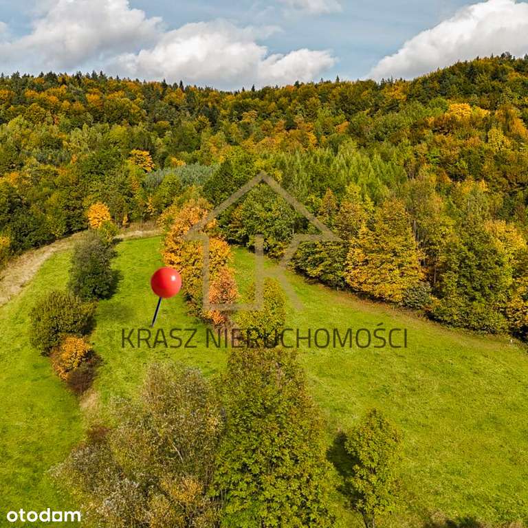 Działka z potencjałem i widokiem, który zachwyca! - Pełny obrazek: 5/7