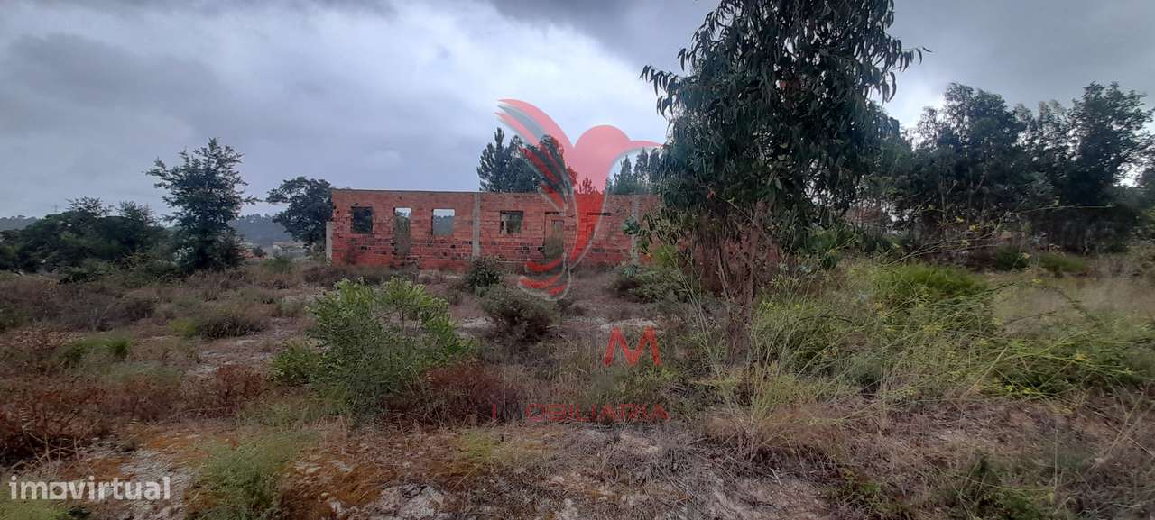 Lote Urbano/Rústico - Grande imagem: 2/25