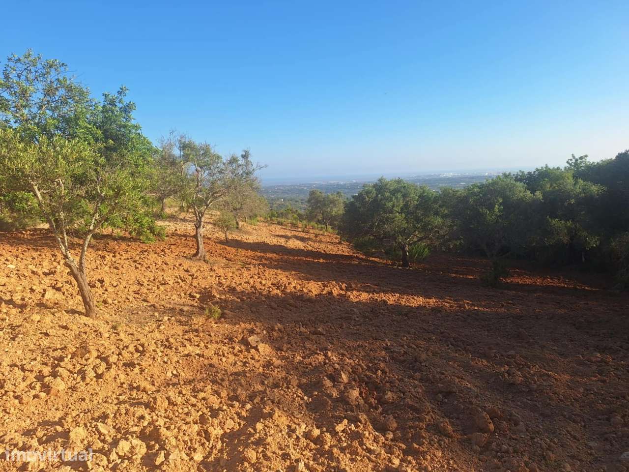 Terreno Rústico a 10km de Estoi-8