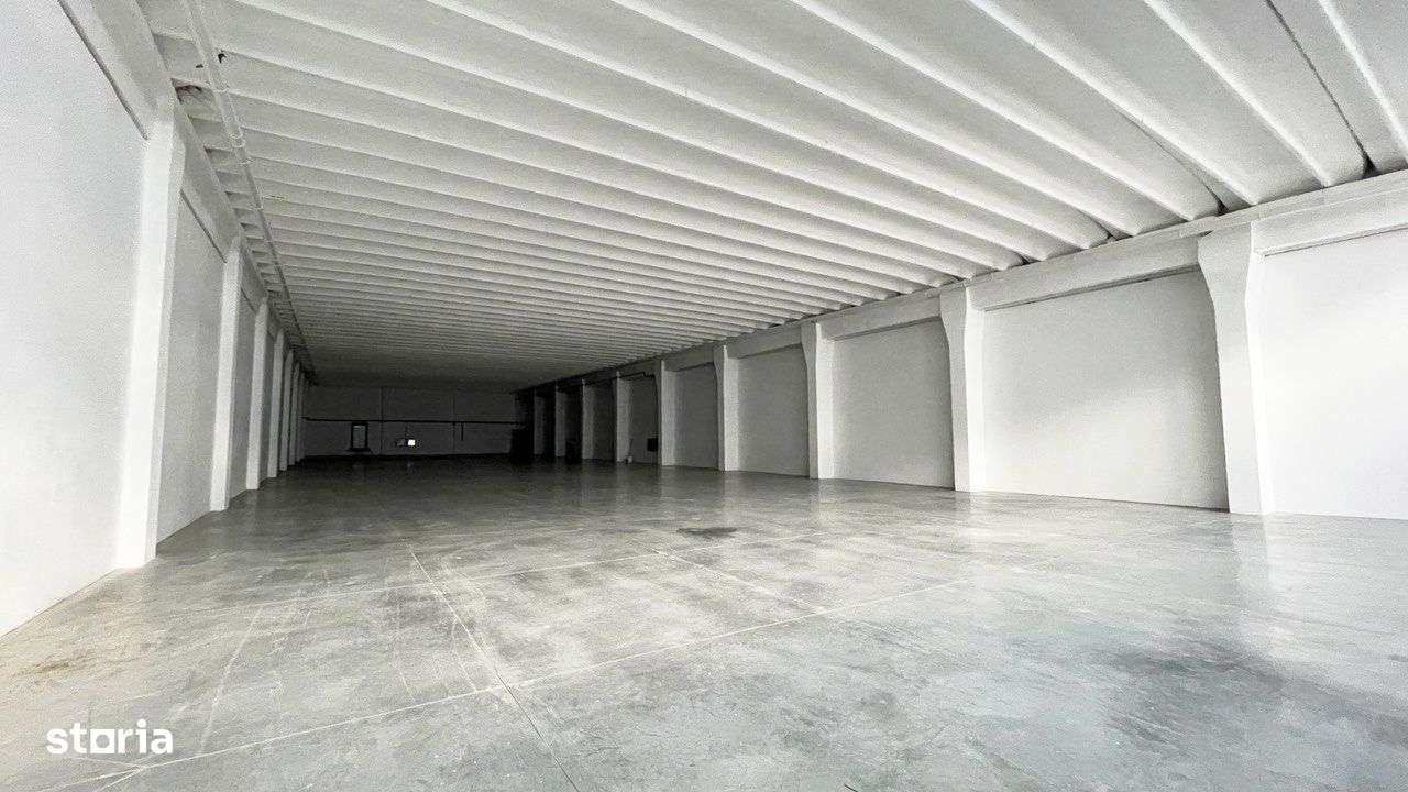 Hală de depozitare si productie - Imagine principală: 4/8