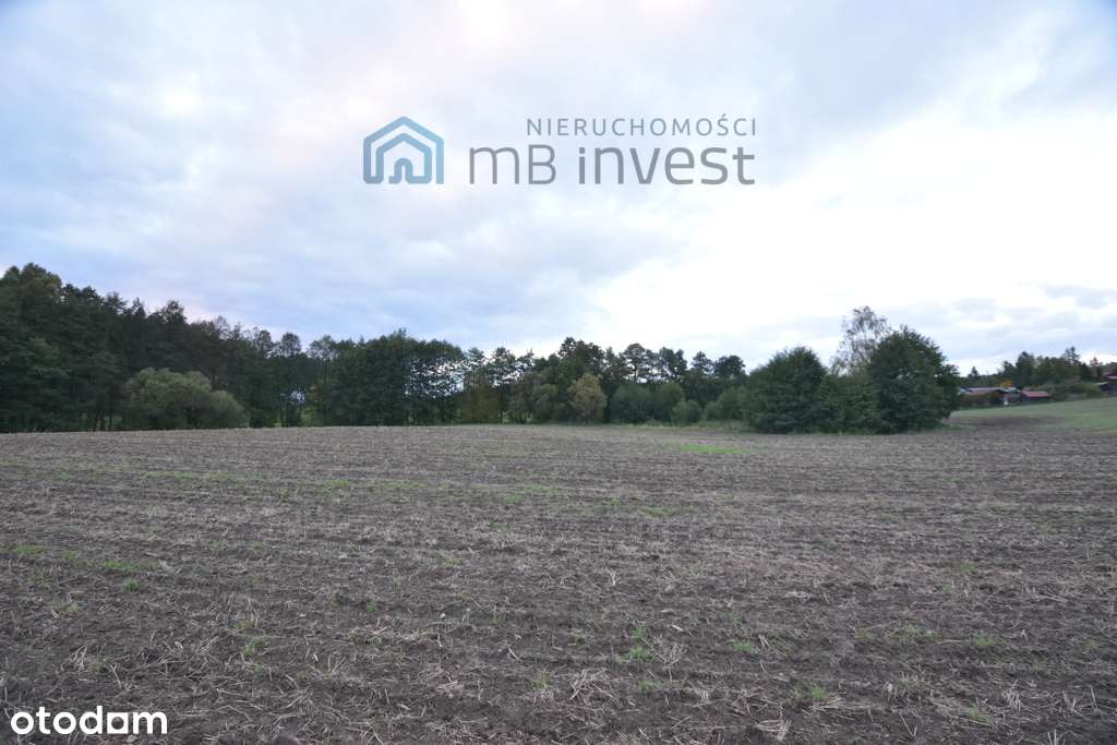 DZIAŁKA ZE STAWEM–OAZA CISZY I NATURY-ŻUŁAWKA-5