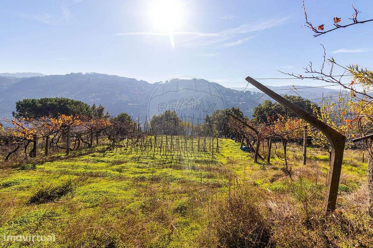 Terreno  para venda-13